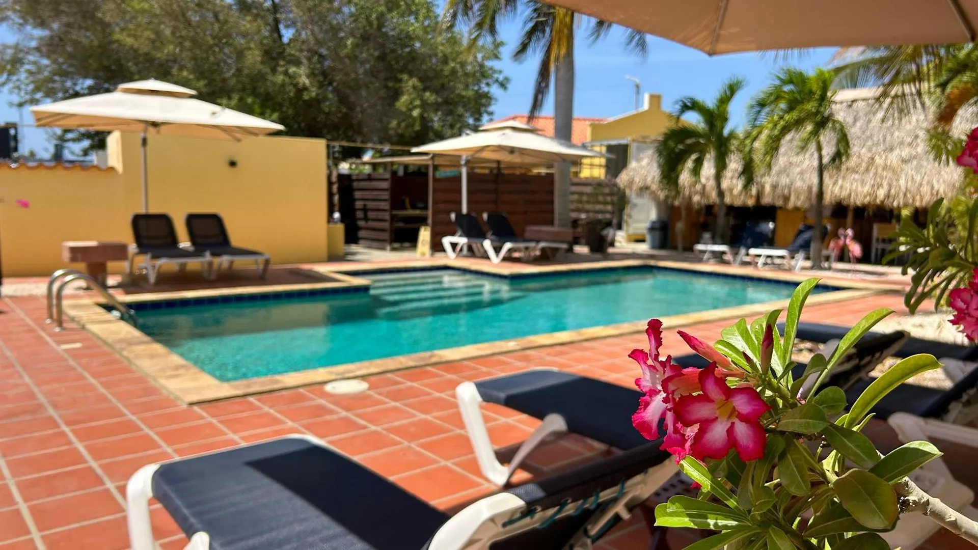 Sonrisa Boutique Hotel - Adults Only Kralendijk  Kralendijk (Bonaire)